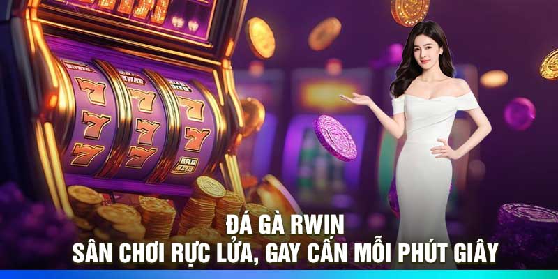 Đá Gà RWIN – Sân Chơi Rực Lửa, Gay Cấn Mỗi Phút Giây