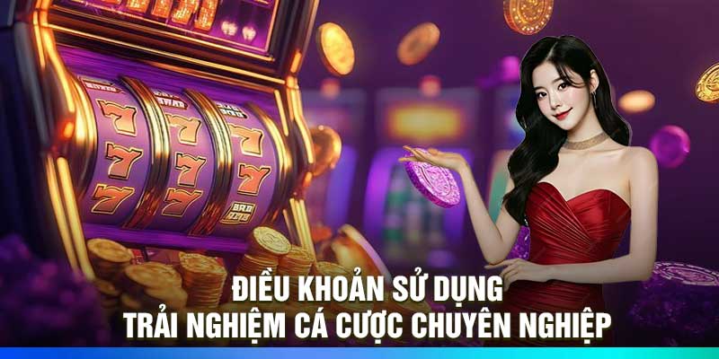 Điều Khoản Sử Dụng – Trải Nghiệm Cá Cược Chuyên Nghiệp